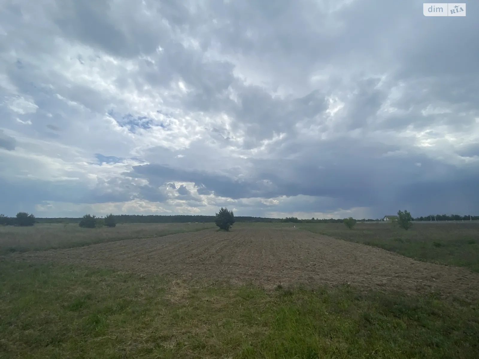 Продается земельный участок 12 соток в Ровенской области - фото 2