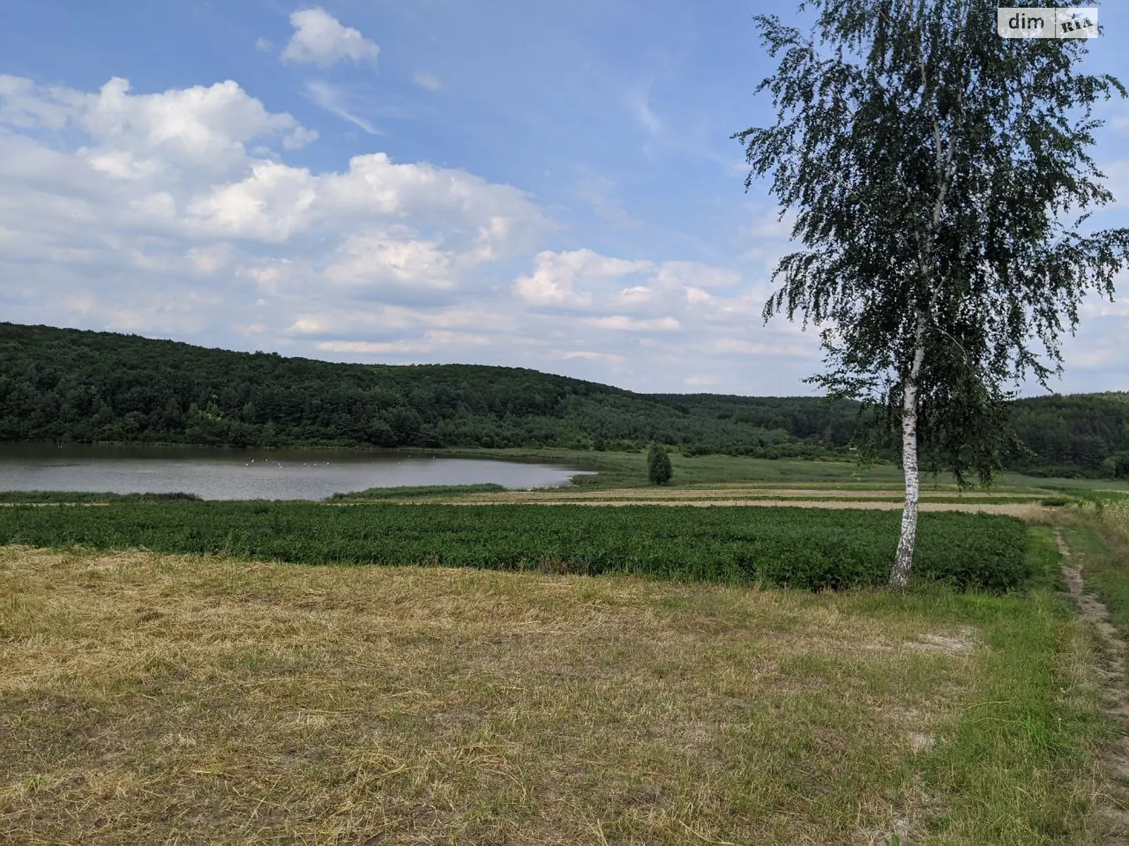 Продается земельный участок 25 соток в Ровенской области, цена: 12000 $