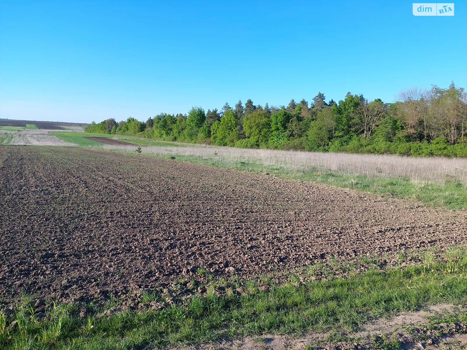 Продается земельный участок 47 соток в Ровенской области - фото 2
