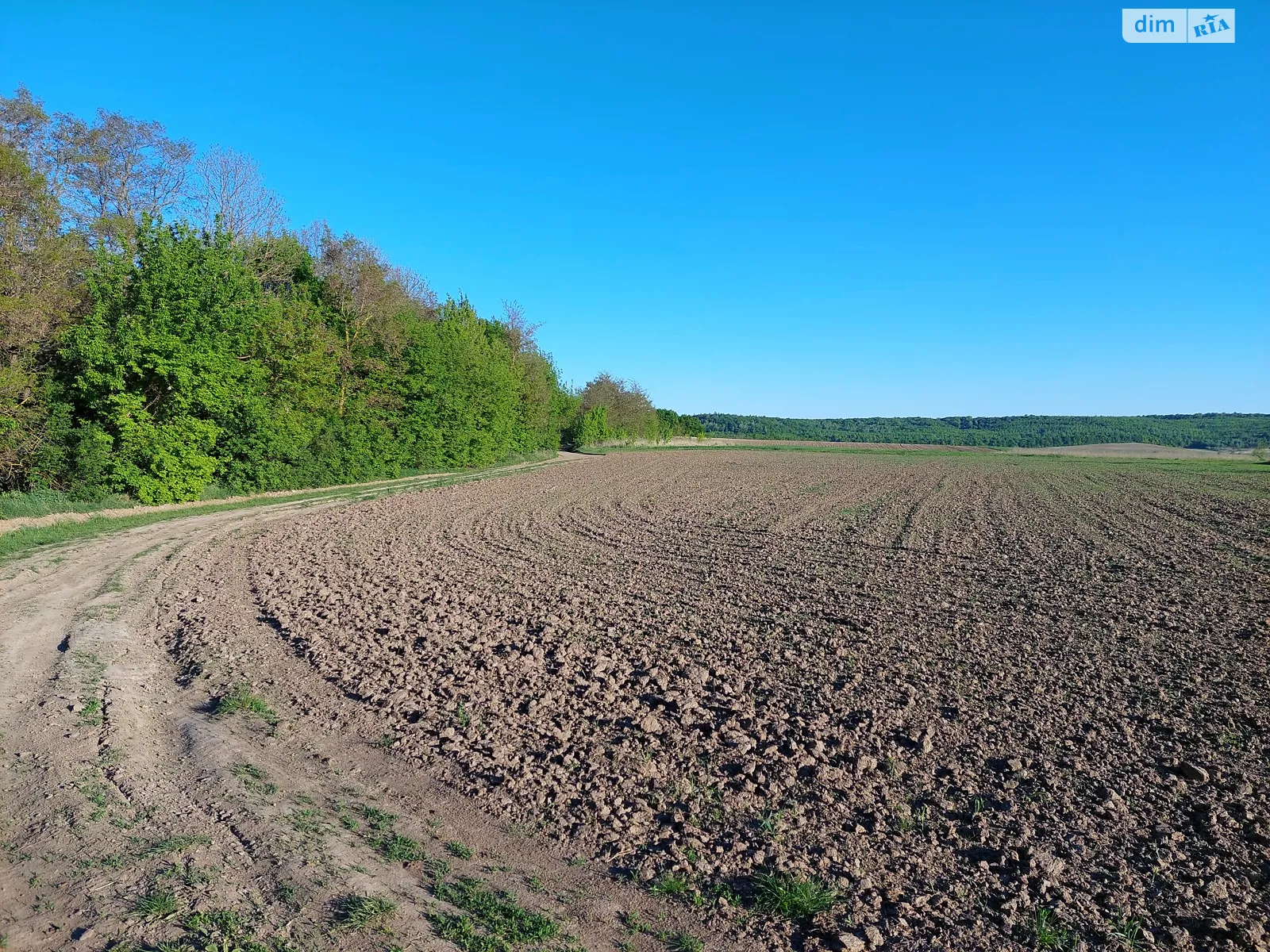 Продается земельный участок 47 соток в Ровенской области - фото 3