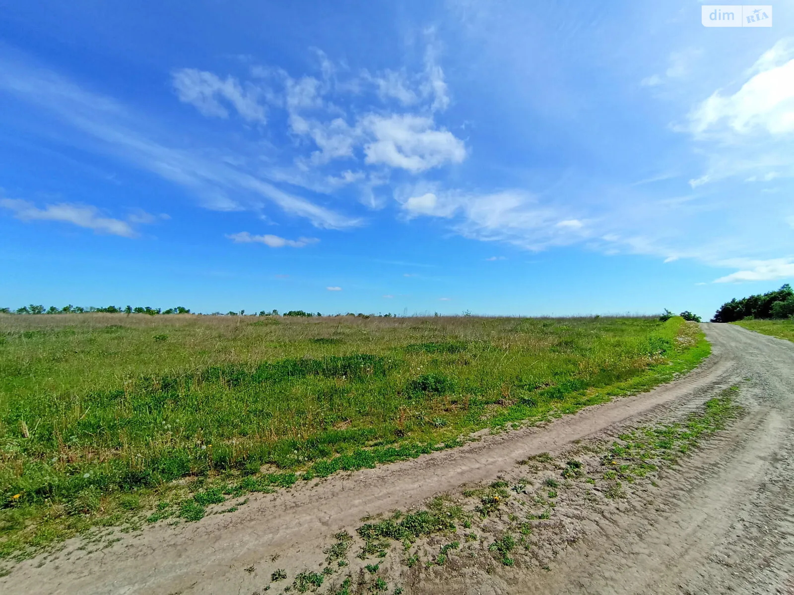 Продается земельный участок 20 соток в Хмельницкой области - фото 3