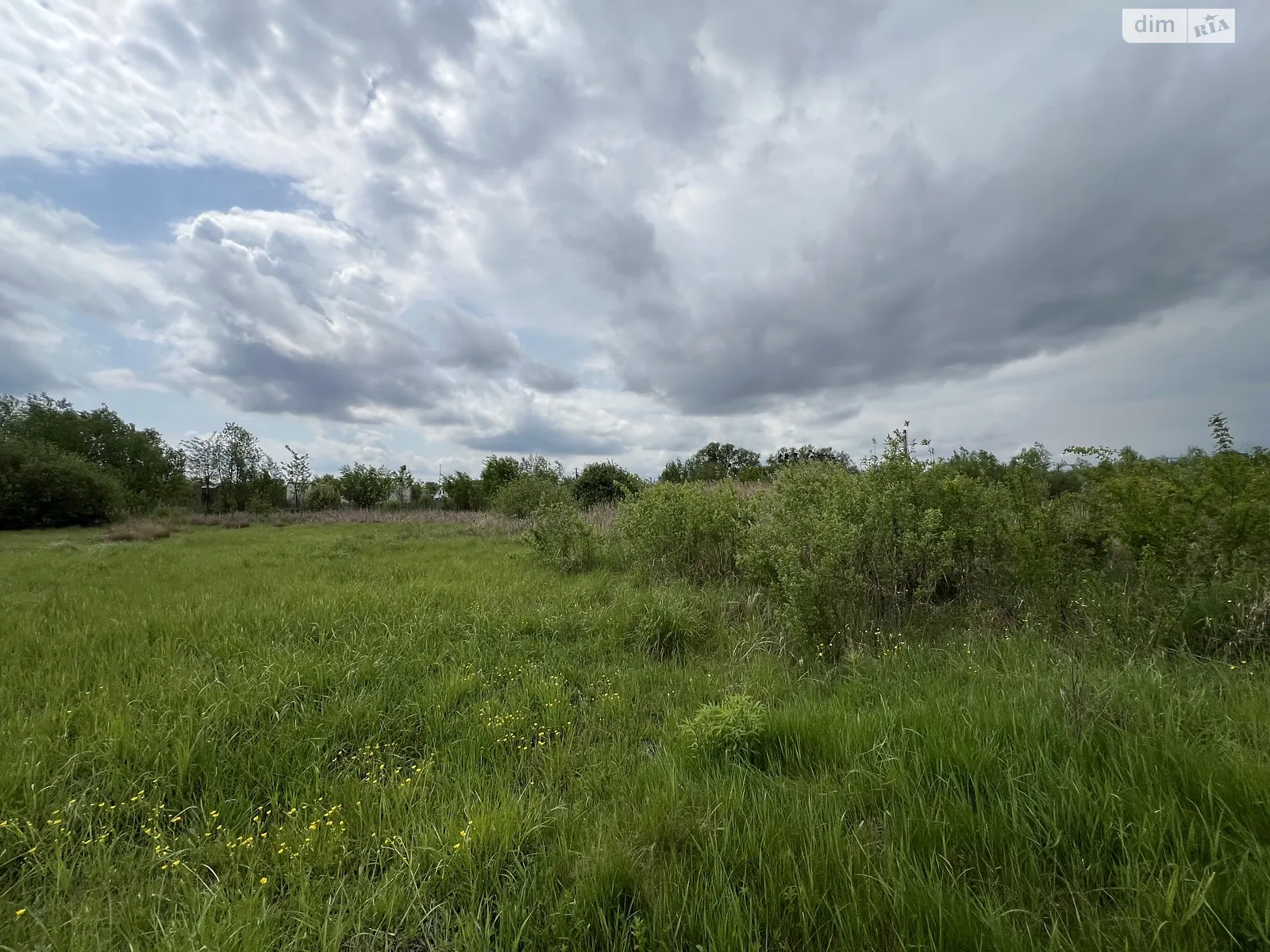 Продается земельный участок 9.5 соток в Винницкой области - фото 4