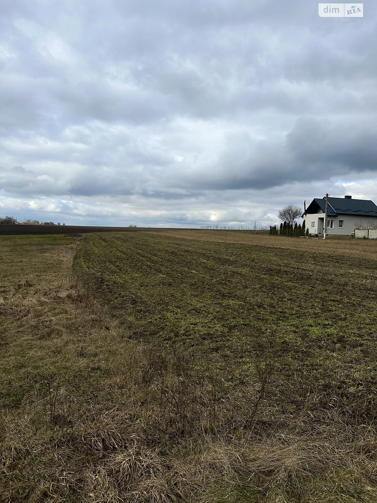Продается земельный участок 21 соток в Ровенской области - фото 3