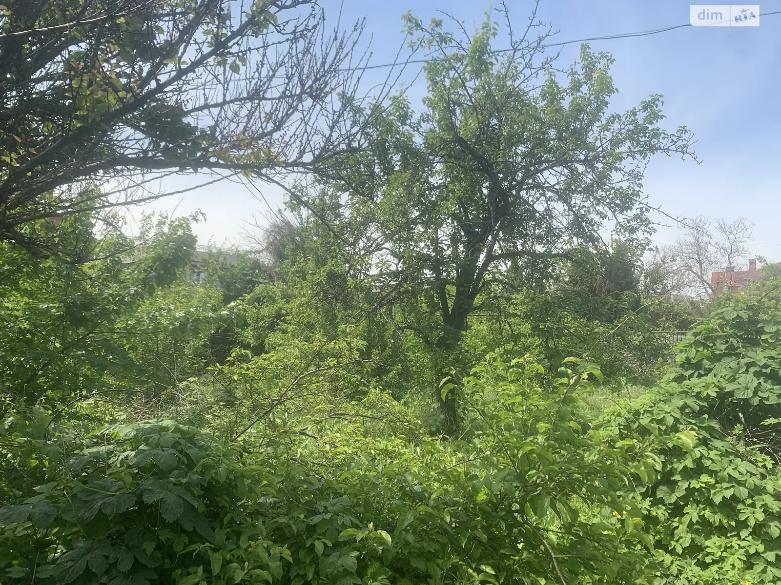 Продается земельный участок 14 соток в Одесской области - фото 2