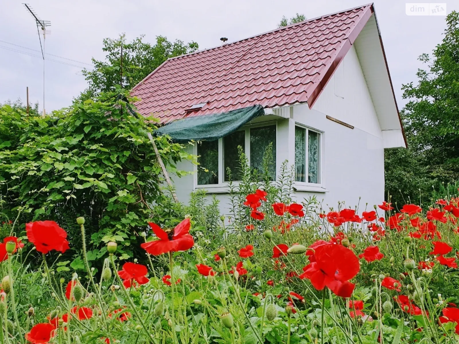 Продається одноповерховий будинок 32 кв. м з банею/сауною, цена: 17000 $