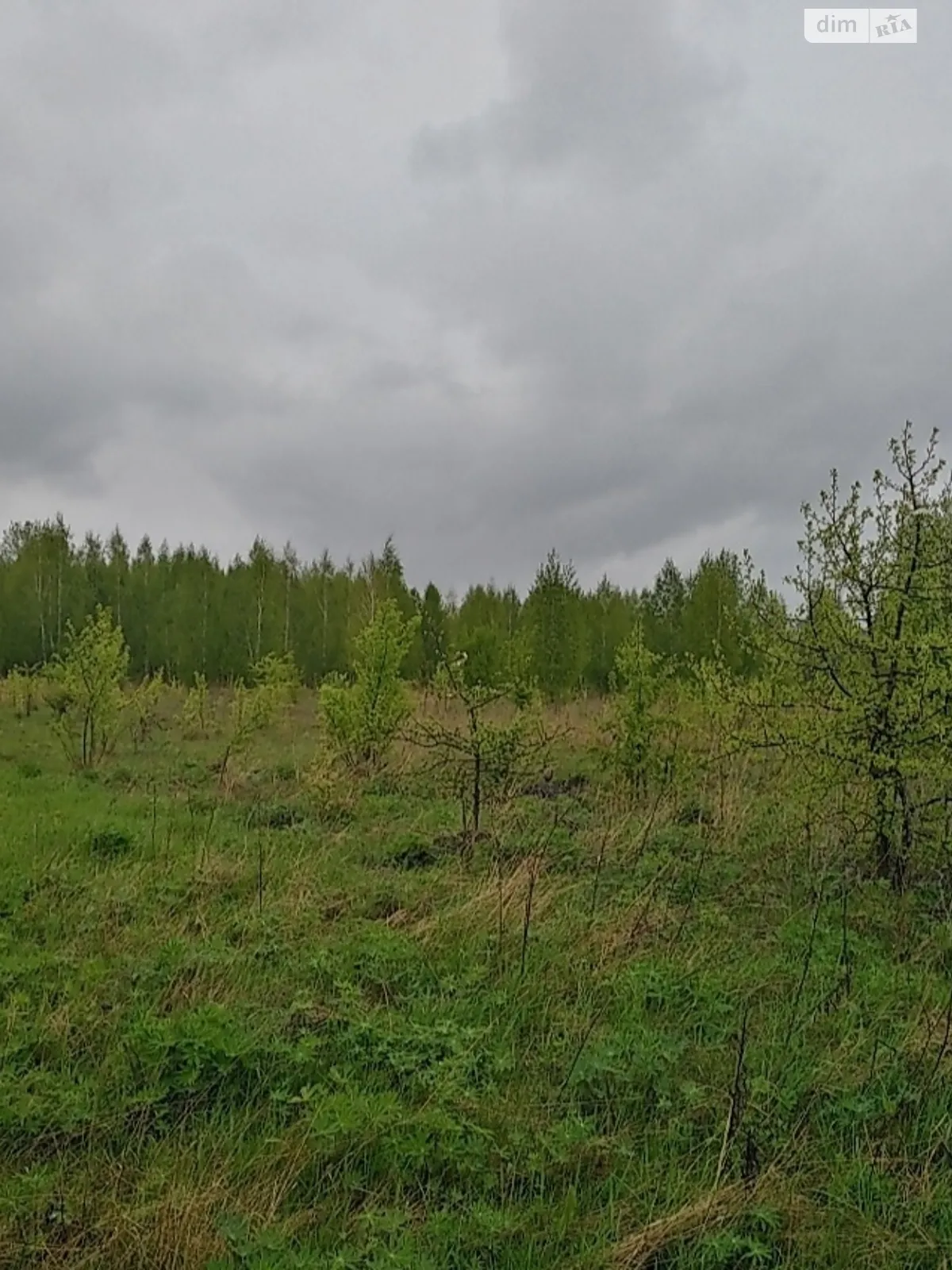 Продається земельна ділянка 10 соток у Житомирській області - фото 2