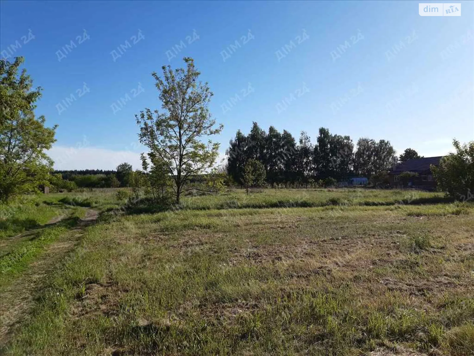 Продается земельный участок 15 соток в Полтавской области - фото 3
