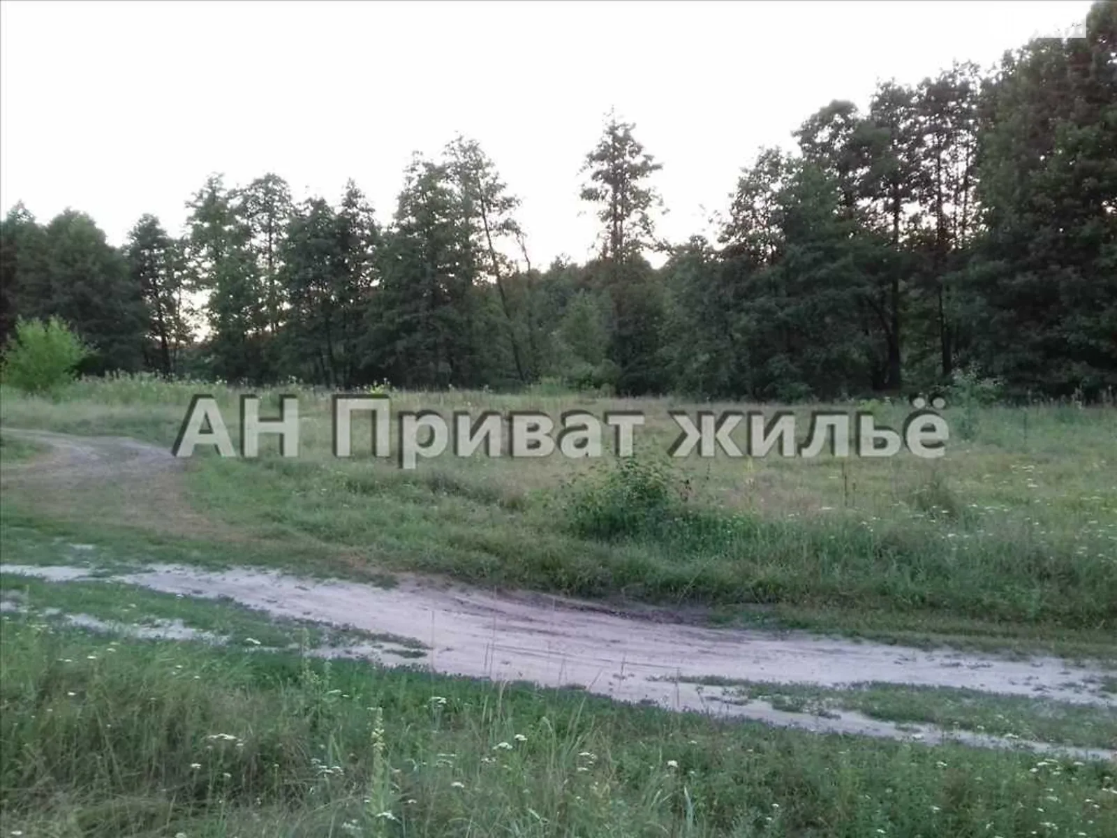 Продається земельна ділянка 10 соток у Полтавській області, цена: 4000 $ - фото 1