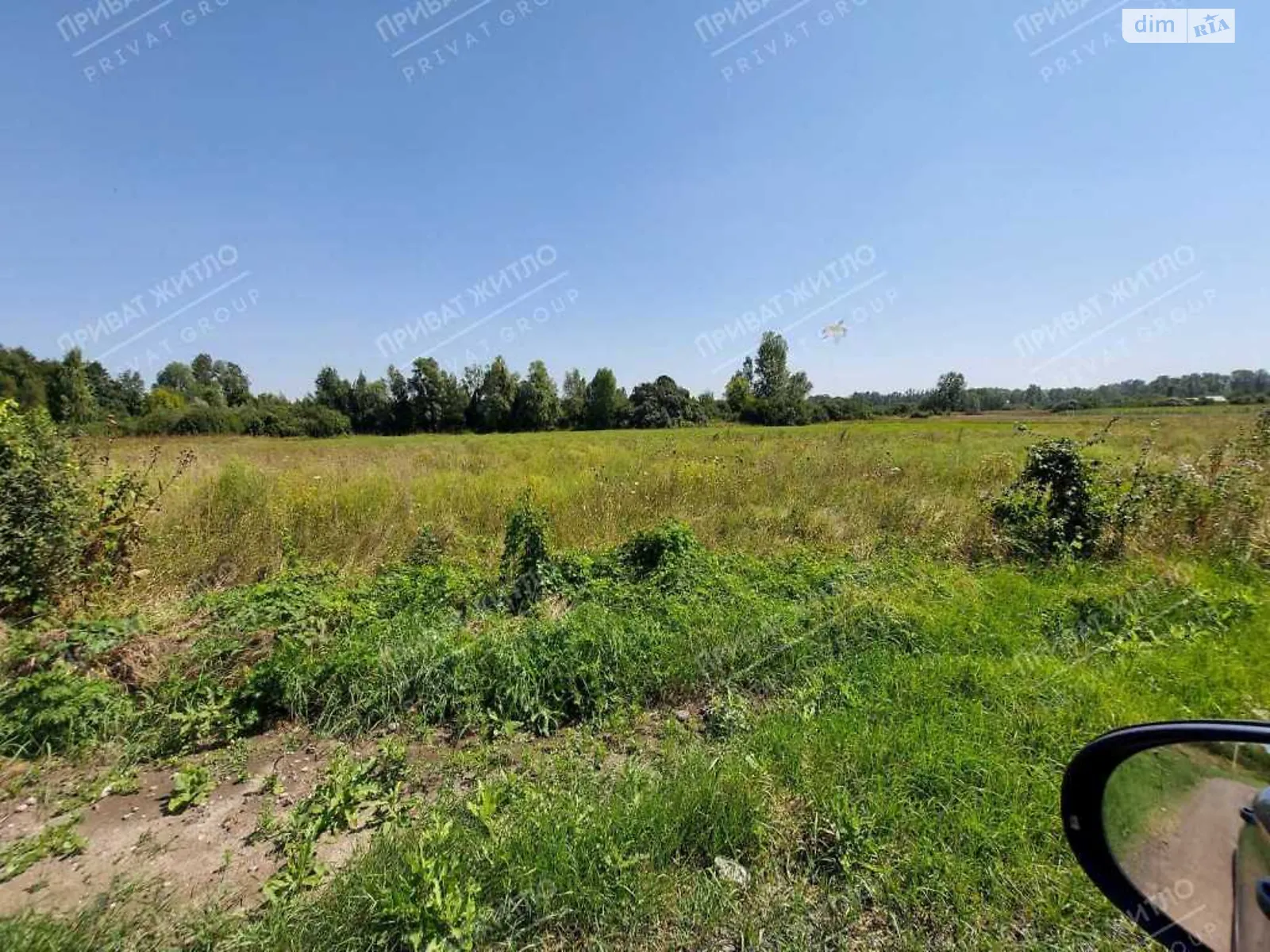 Продается земельный участок 50 соток в Полтавской области - фото 2
