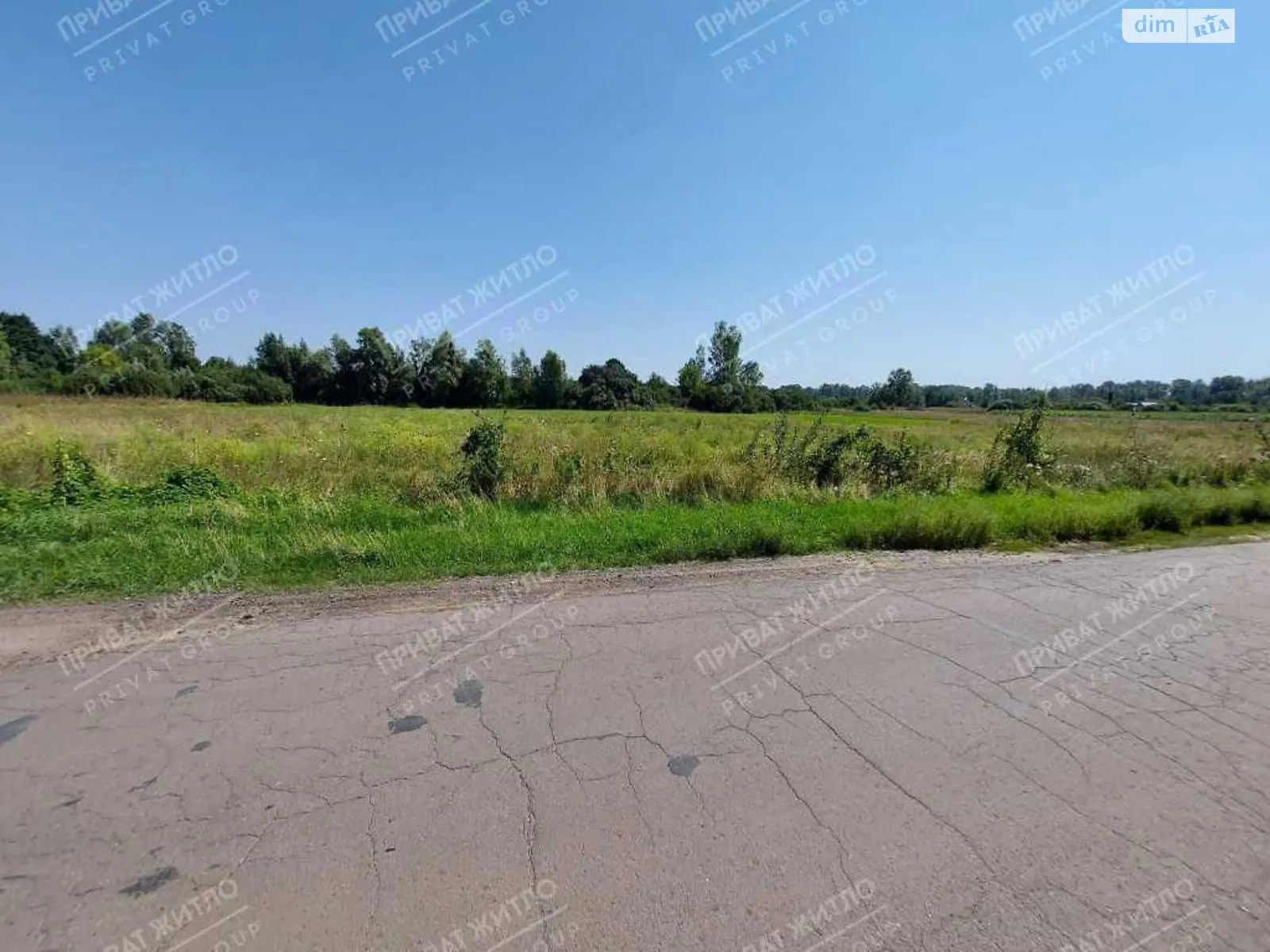 Продается земельный участок 50 соток в Полтавской области - фото 3