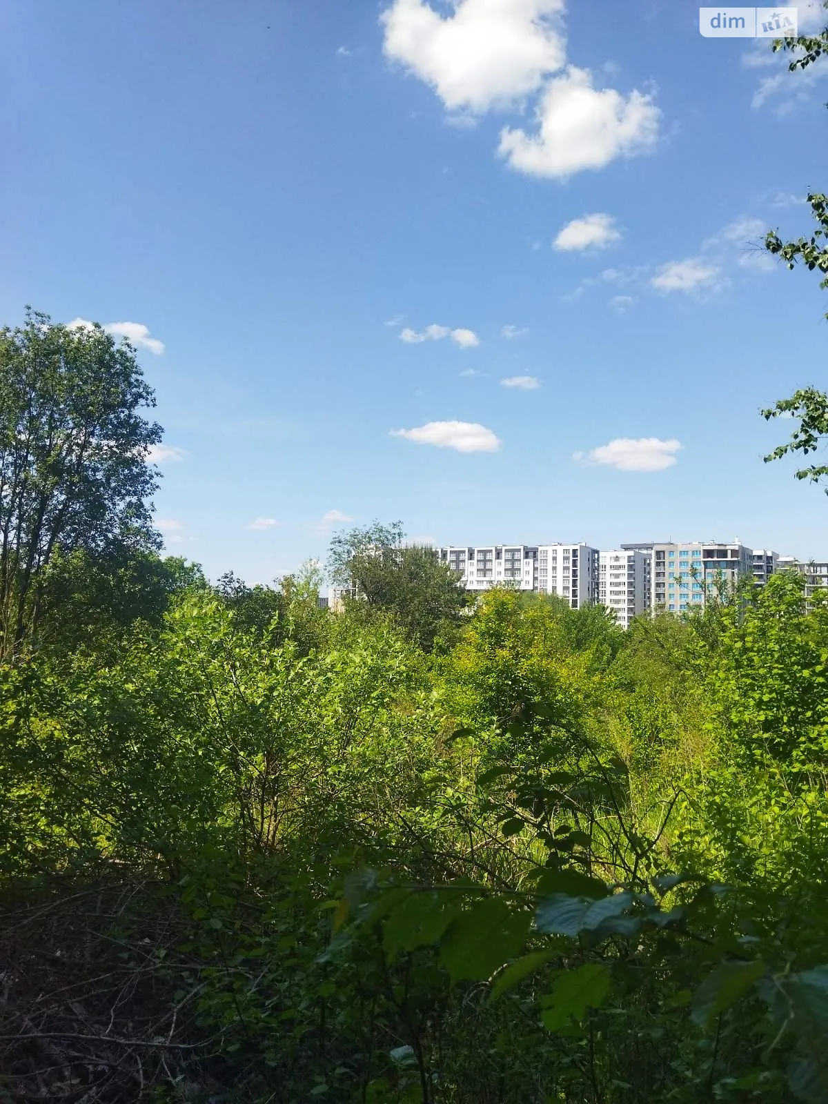Продается земельный участок 4.89 соток в Львовской области - фото 3