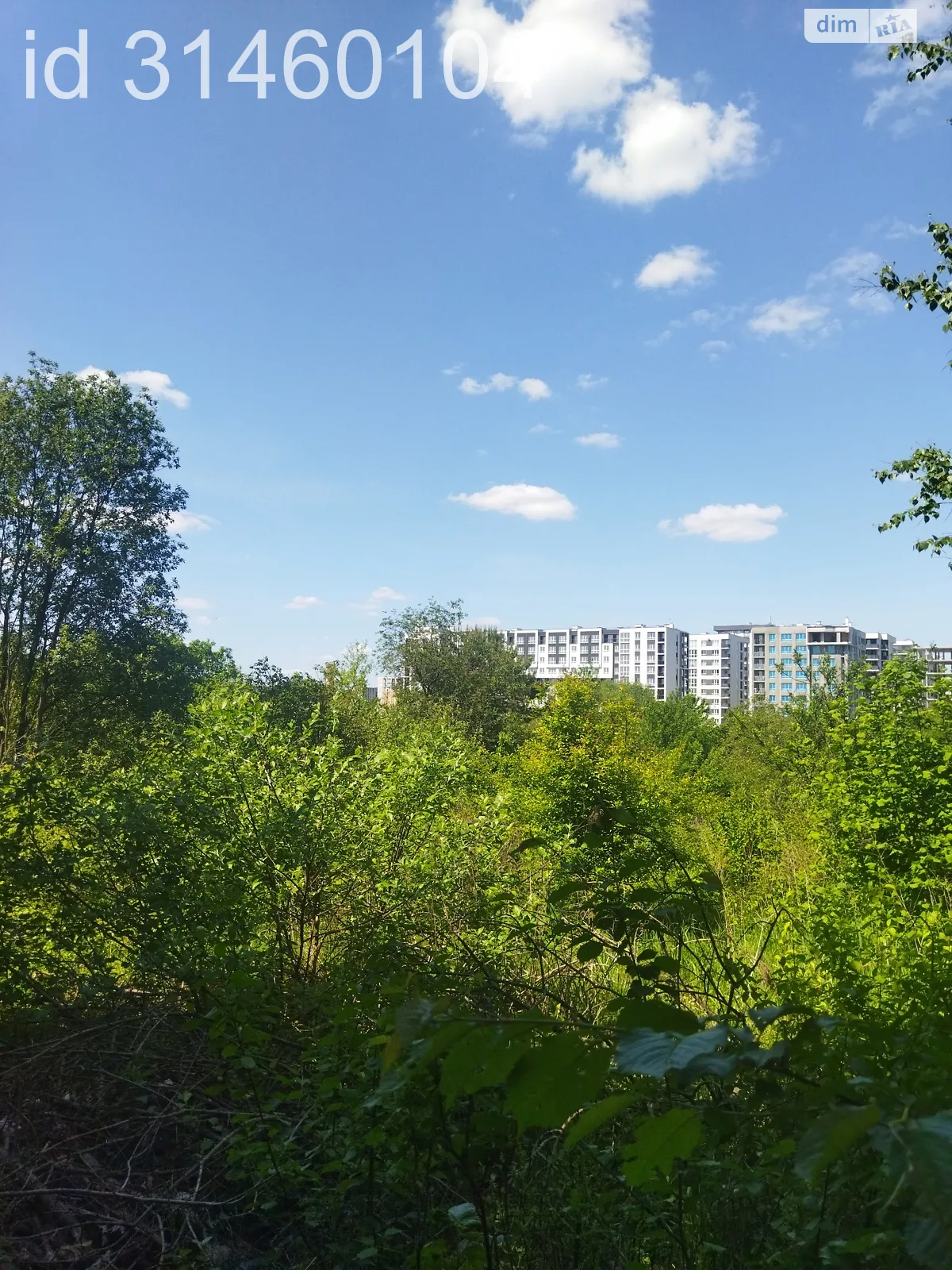 Продается земельный участок 4.89 соток в Львовской области - фото 3