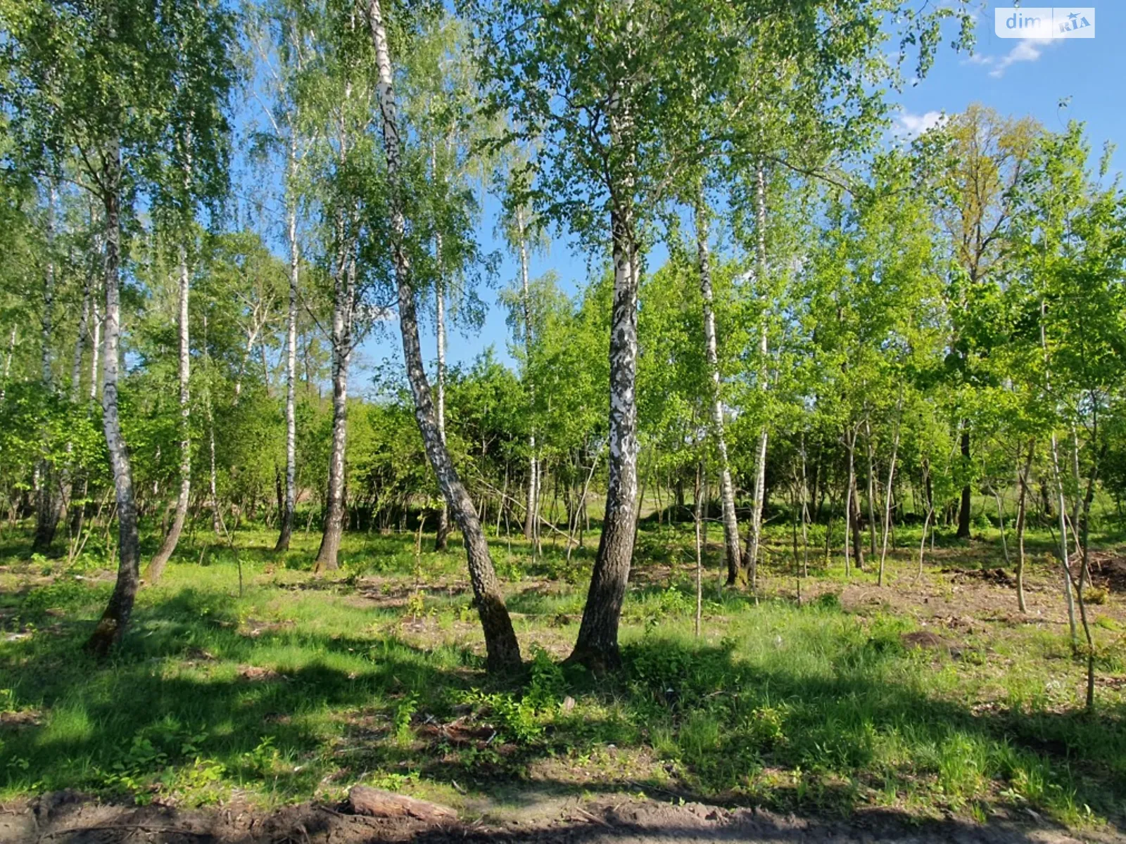 Продається земельна ділянка 5 соток у Київській області, цена: 40000 $