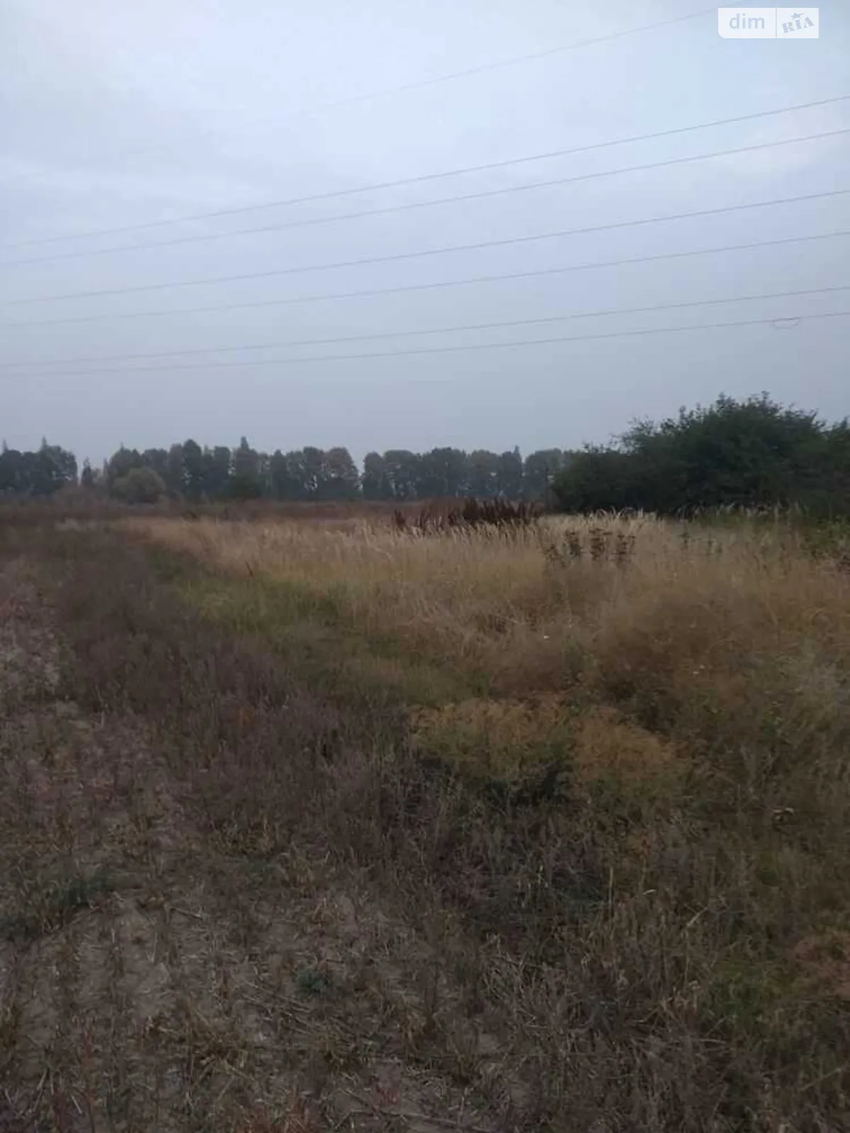 Продается земельный участок 23 соток в Полтавской области - фото 3