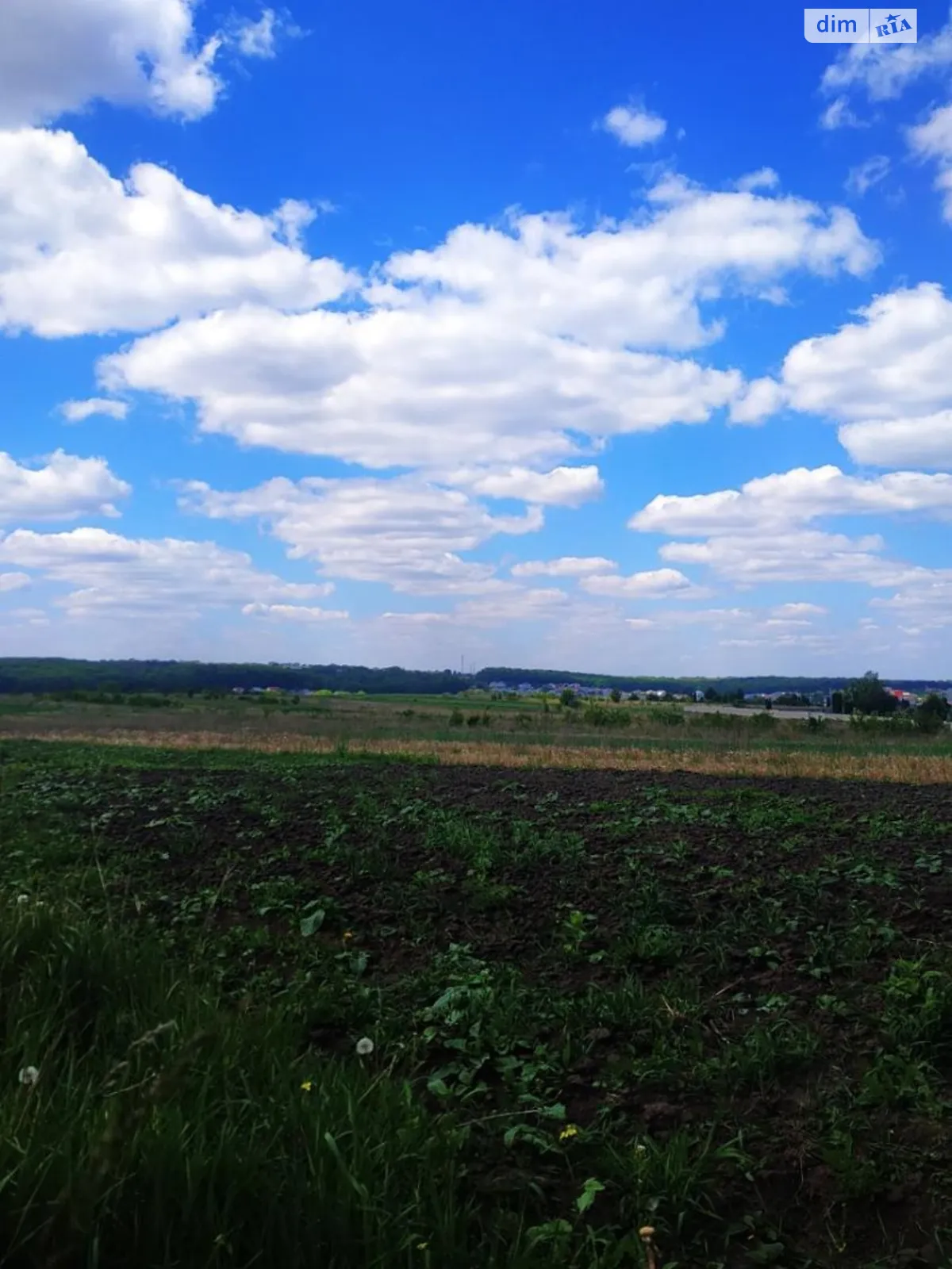 Продається земельна ділянка 18 соток у Тернопільській області - фото 3