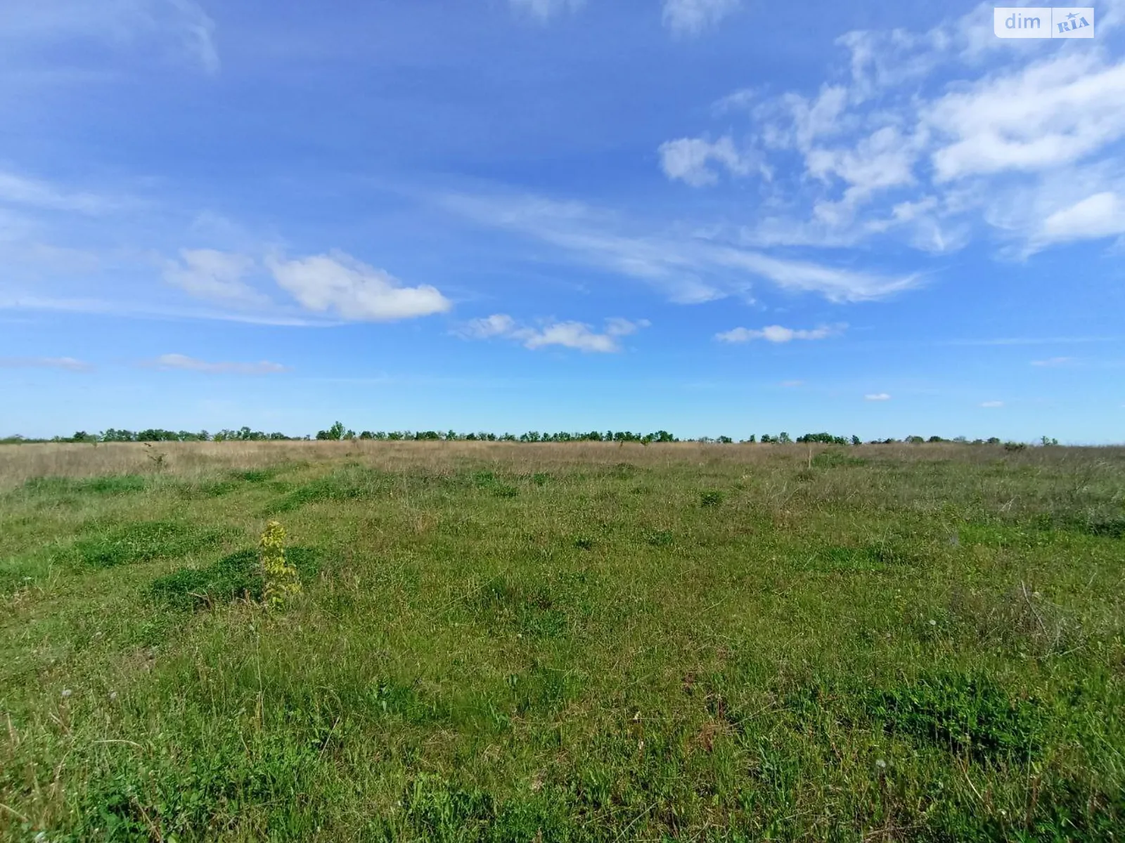 Продается земельный участок 20 соток в Хмельницкой области - фото 4