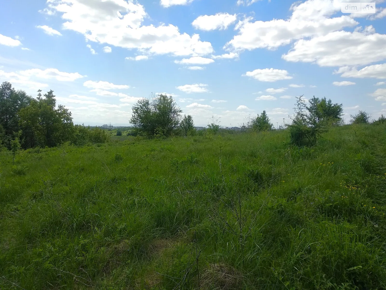 Продается земельный участок 16 соток в Ивано-Франковской области - фото 2