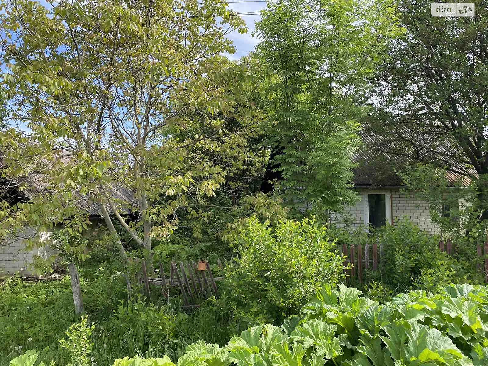 Продається одноповерховий будинок 32 кв. м з садом, цена: 16000 $ - фото 1