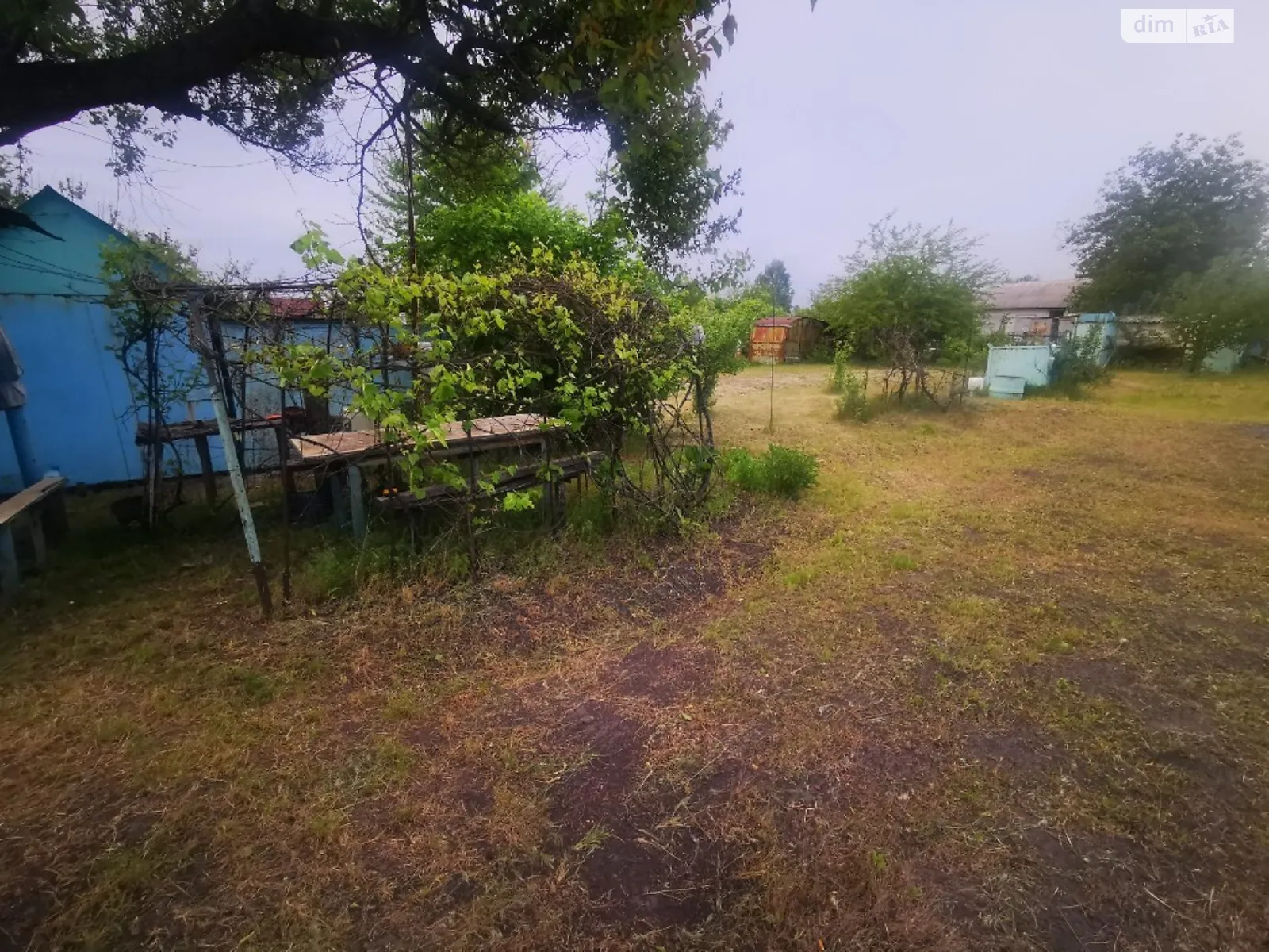Продается земельный участок 8 соток в Днепропетровской области - фото 2
