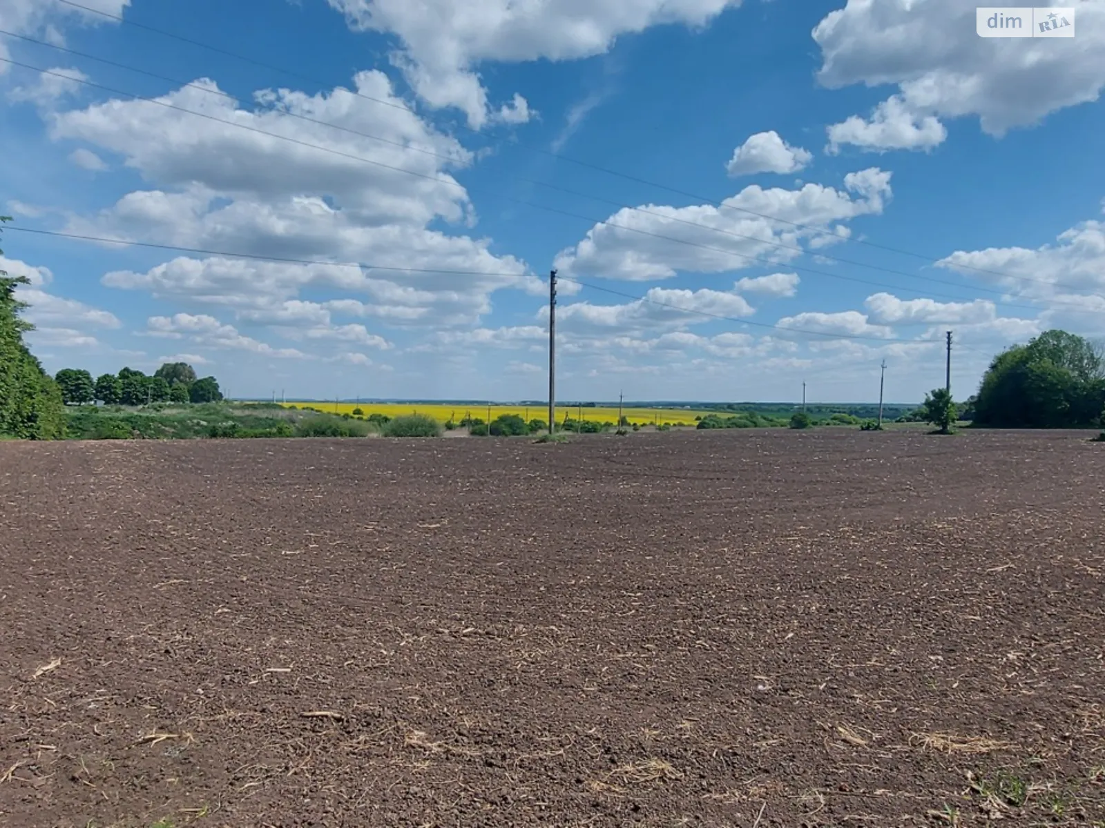 Продается земельный участок 226 соток в Тернопольской области - фото 2