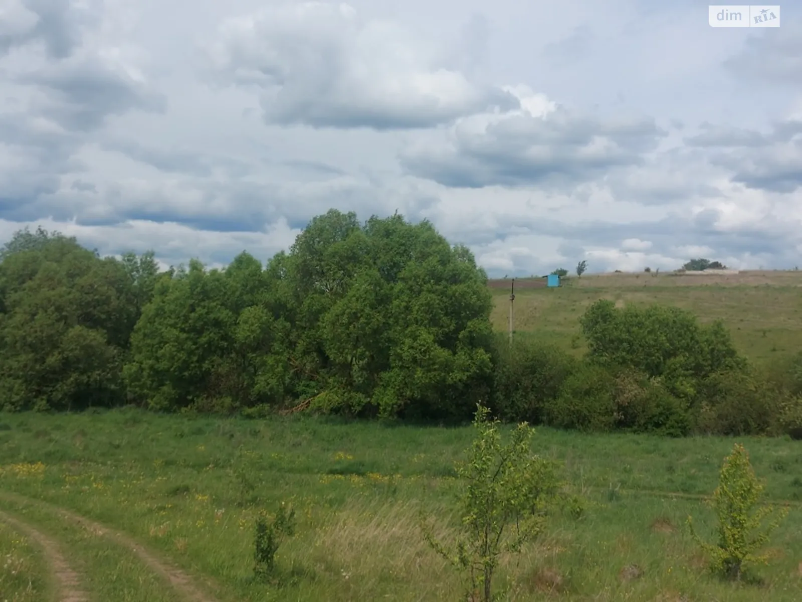 Продается земельный участок 3 соток в Тернопольской области - фото 3