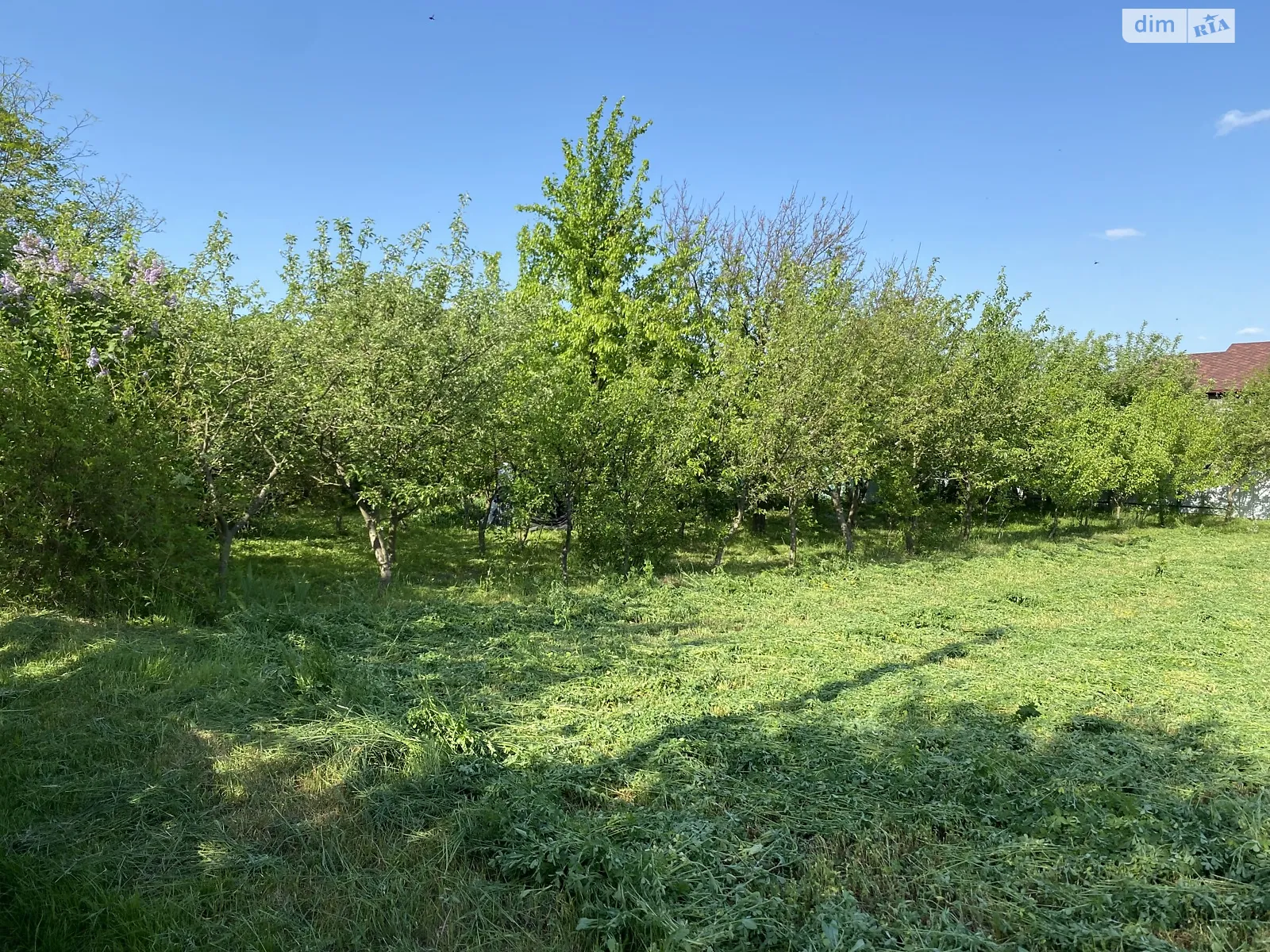 Продается земельный участок 0.1142 соток в Хмельницкой области - фото 2