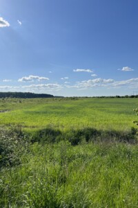 Куплю земельный участок в Берегове без посредников