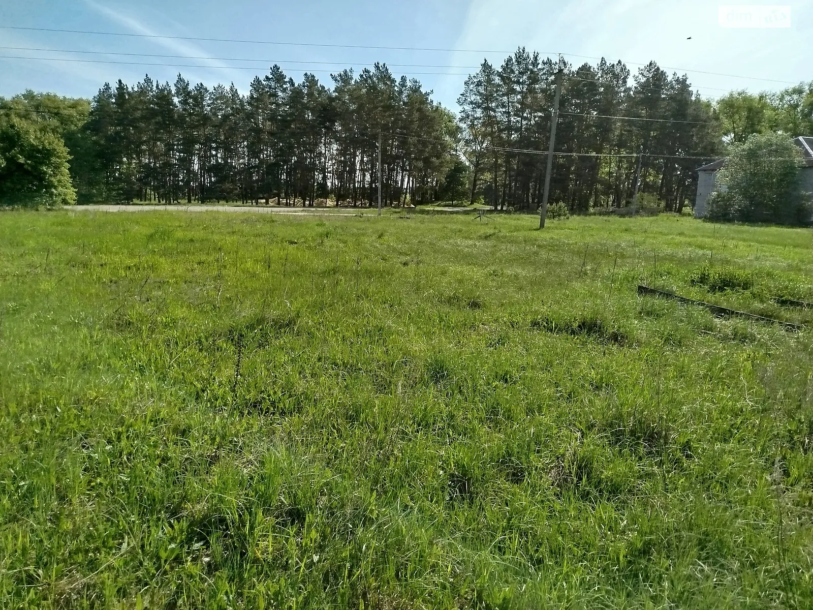 Продается земельный участок 25 соток в Житомирской области, цена: 3000 $ - фото 1