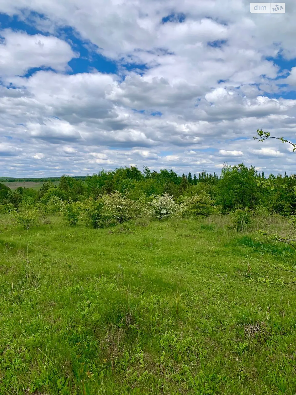 Продается земельный участок 5 соток в Хмельницкой области, цена: 150000 $ - фото 1