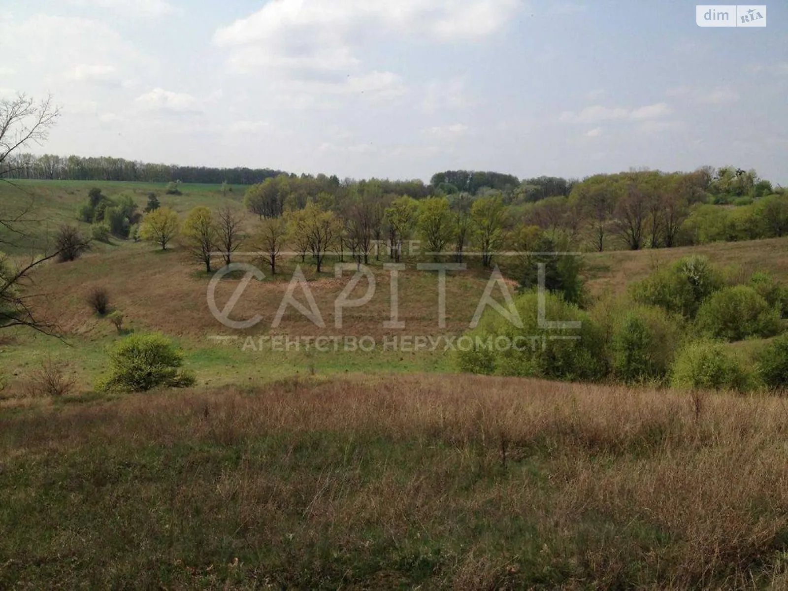Продается земельный участок 400 соток в Киевской области, цена: 299000 $
