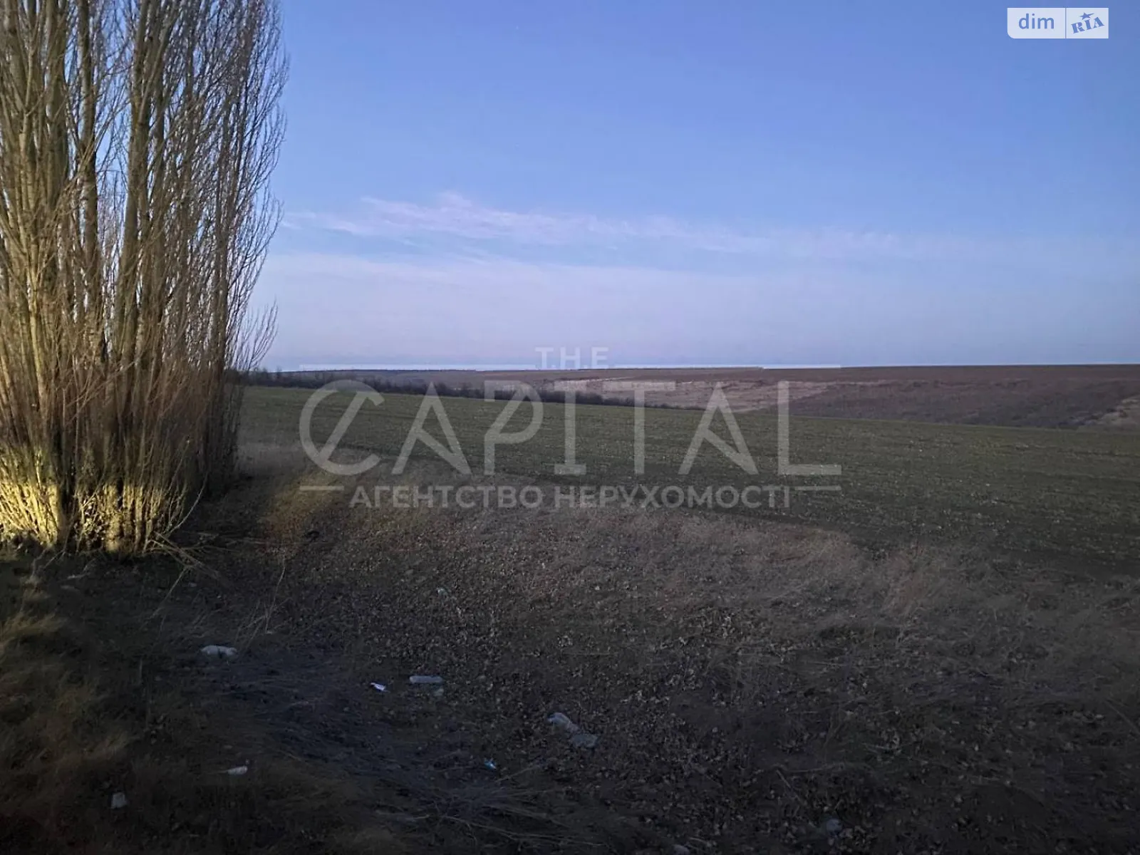 Продається земельна ділянка 745 соток у Одеській області - фото 3