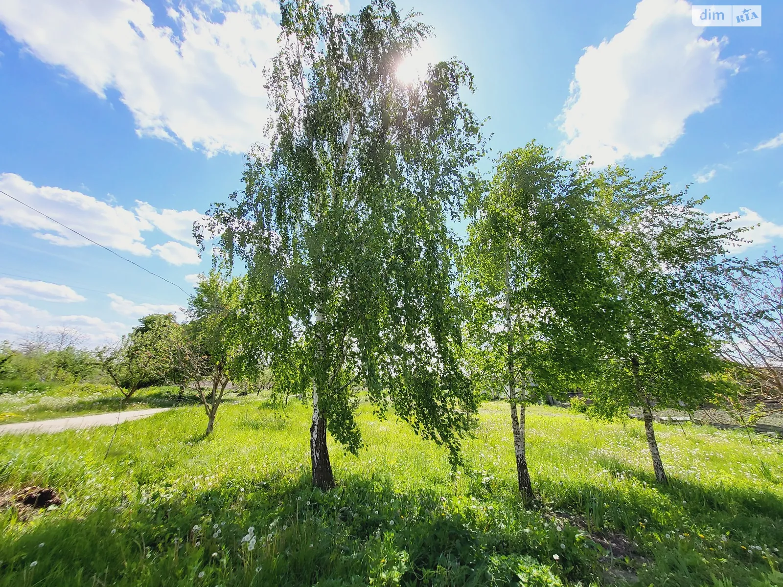 Продается земельный участок 16 соток в Винницкой области, цена: 25000 $
