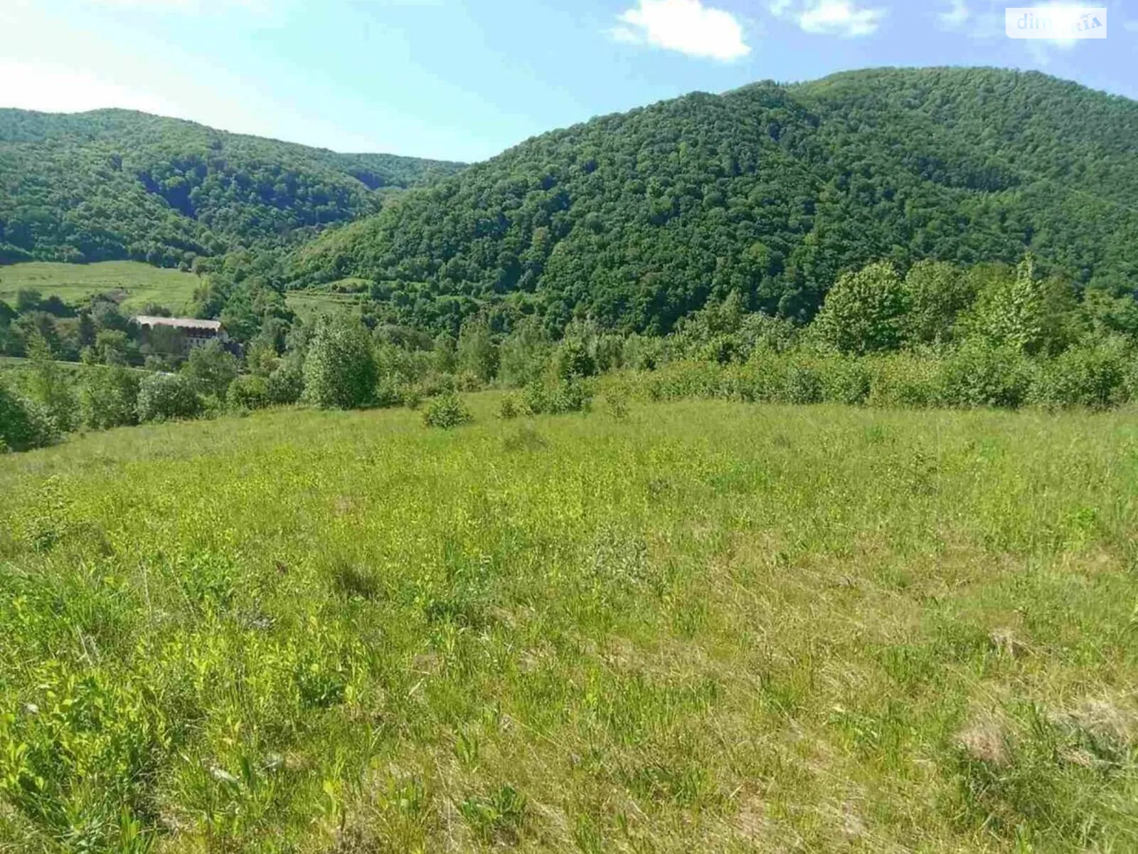 Продается земельный участок 45 соток в Закарпатской области, цена: 8000 $