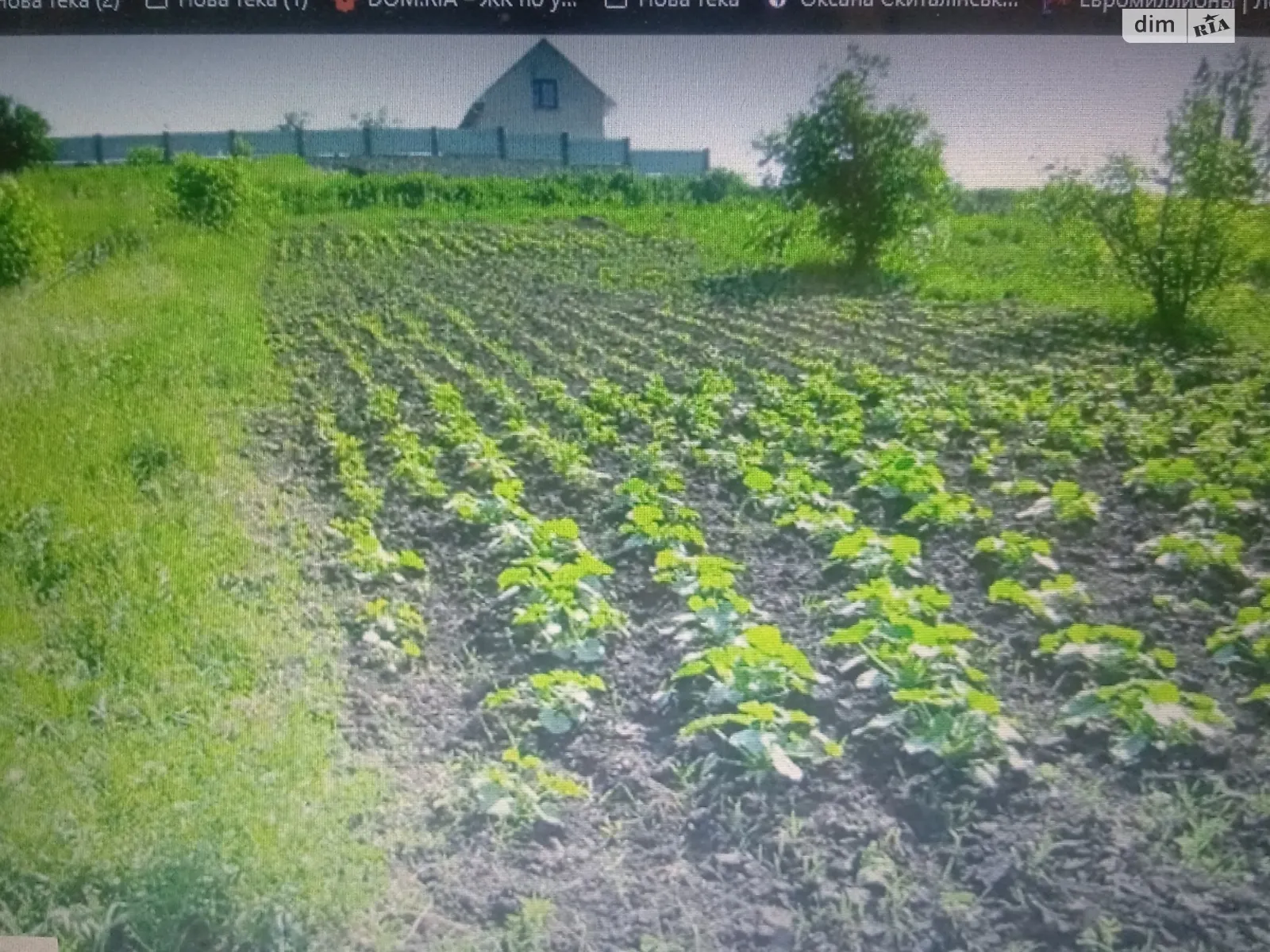 Продается земельный участок 42 соток в Тернопольской области - фото 3
