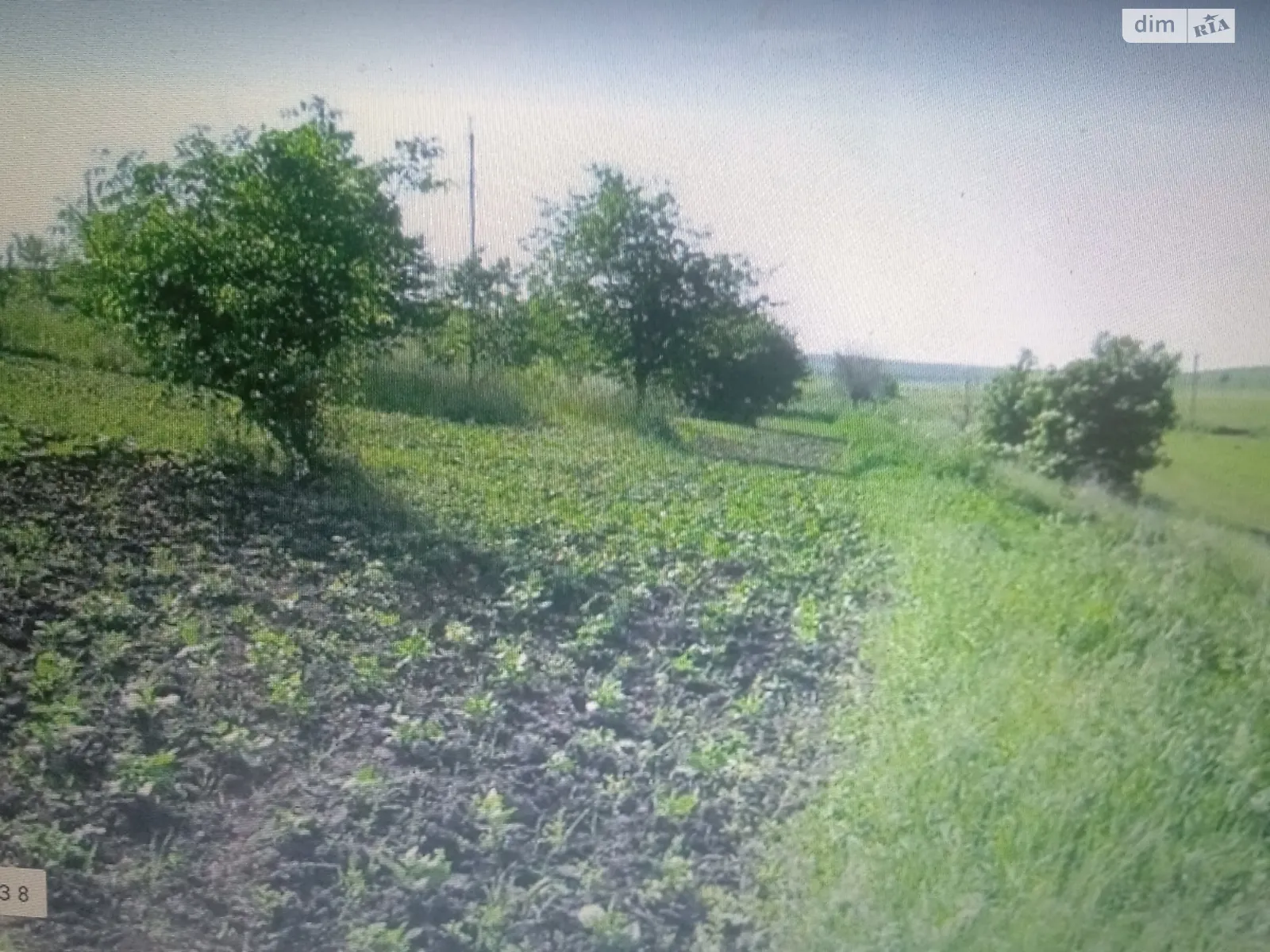 Продается земельный участок 42 соток в Тернопольской области - фото 4