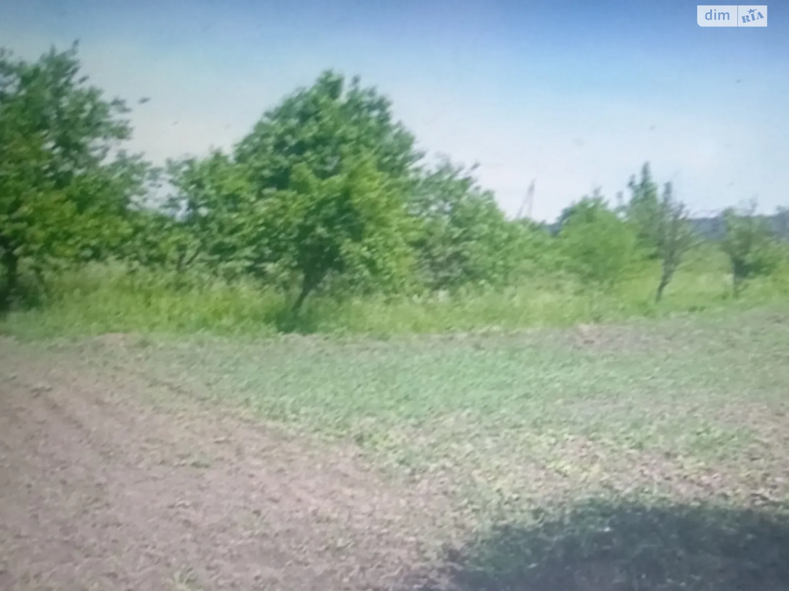 Продается земельный участок 42 соток в Тернопольской области - фото 2