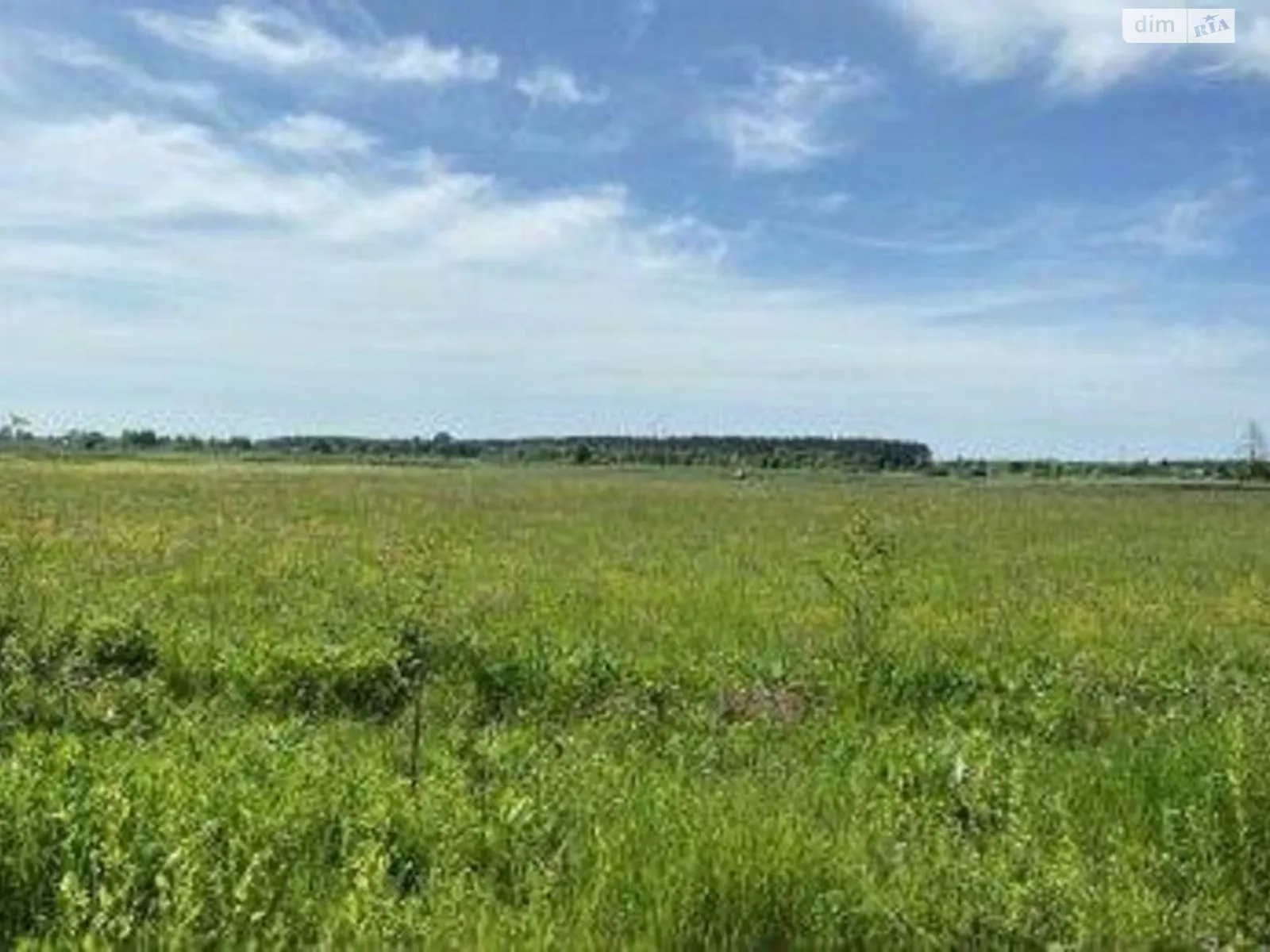 Продается земельный участок 12 соток в Черниговской области, цена: 3600 $ - фото 1