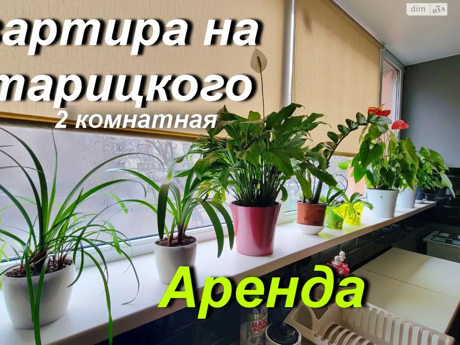 Здається в оренду 2-кімнатна квартира 92 кв. м у Одесі, цена: 9000 грн