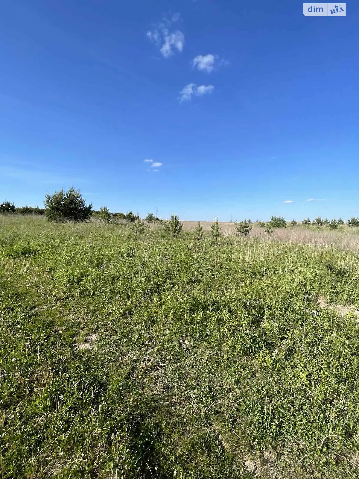 Продается земельный участок 45 соток в Волынской области - фото 3