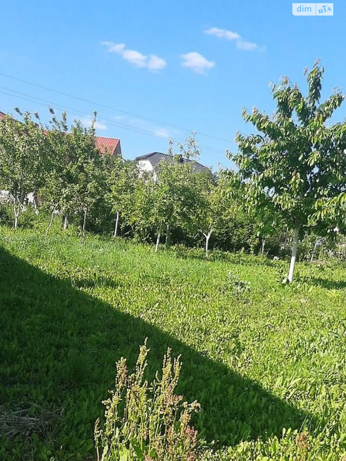 Продается земельный участок 5 соток в Тернопольской области - фото 4
