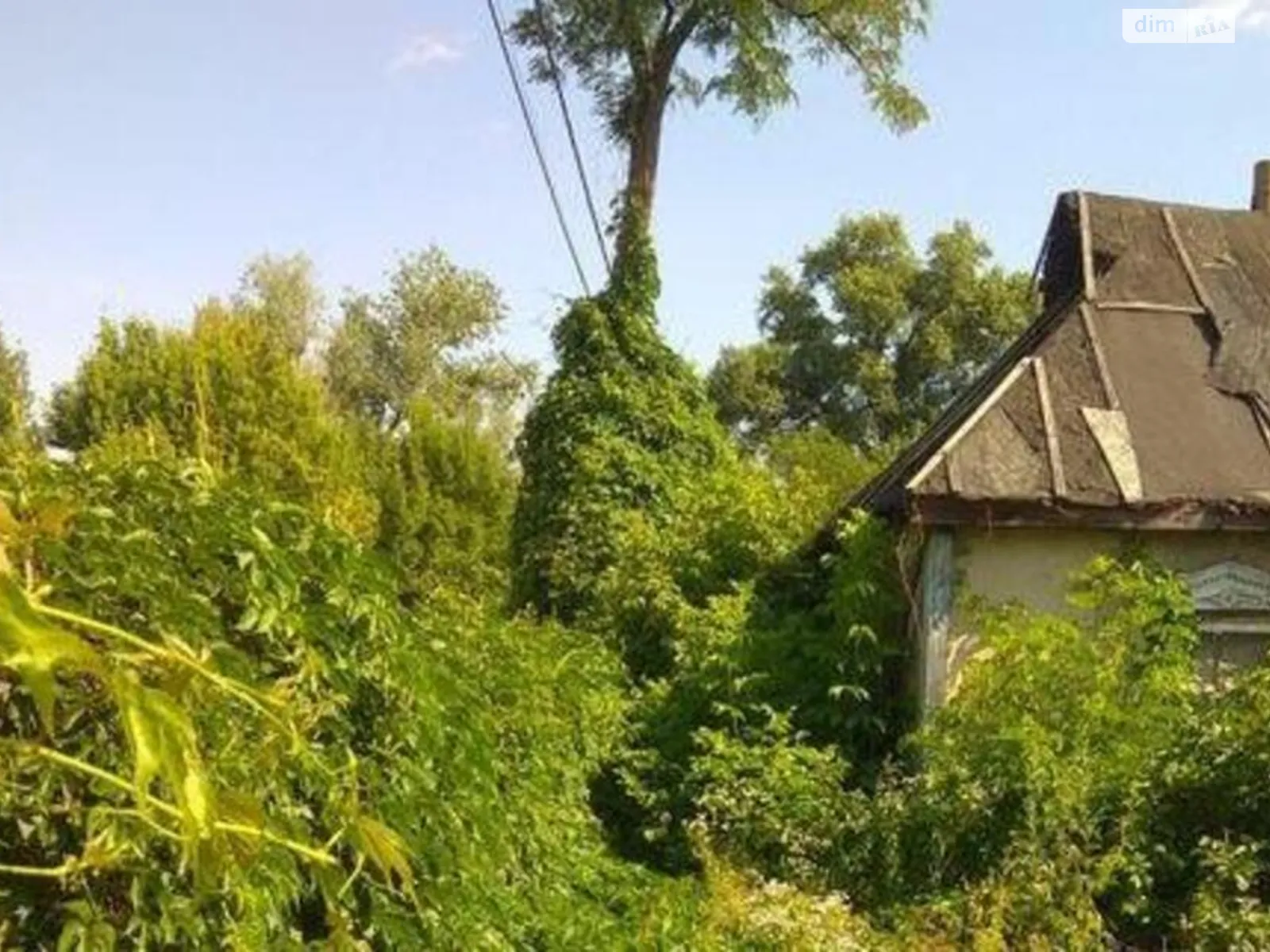 Продається одноповерховий будинок 30 кв. м з каміном - фото 4