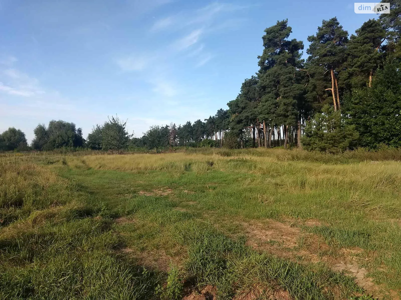 Продается земельный участок 50 соток в Киевской области, цена: 50000 $