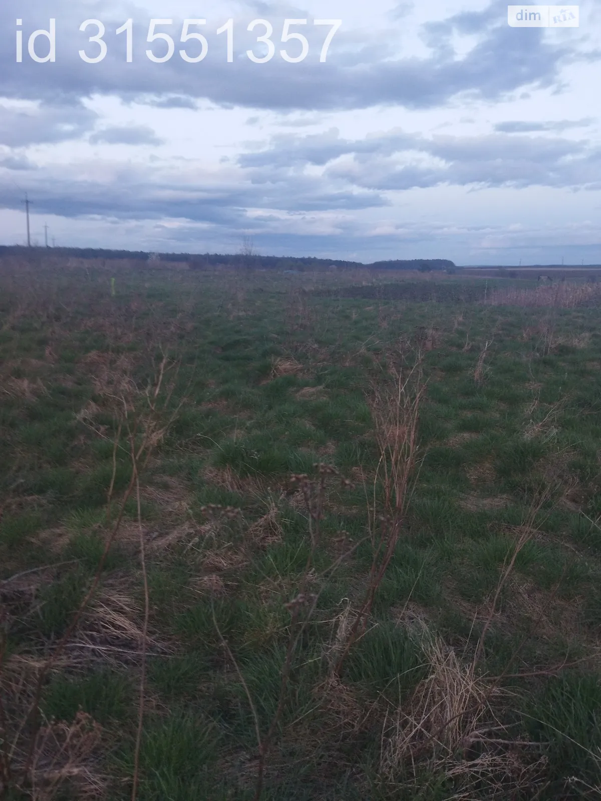 Продается земельный участок 2.157 соток в Львовской области - фото 3