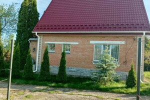 Продаж будинку, Житомирська, Лисівка