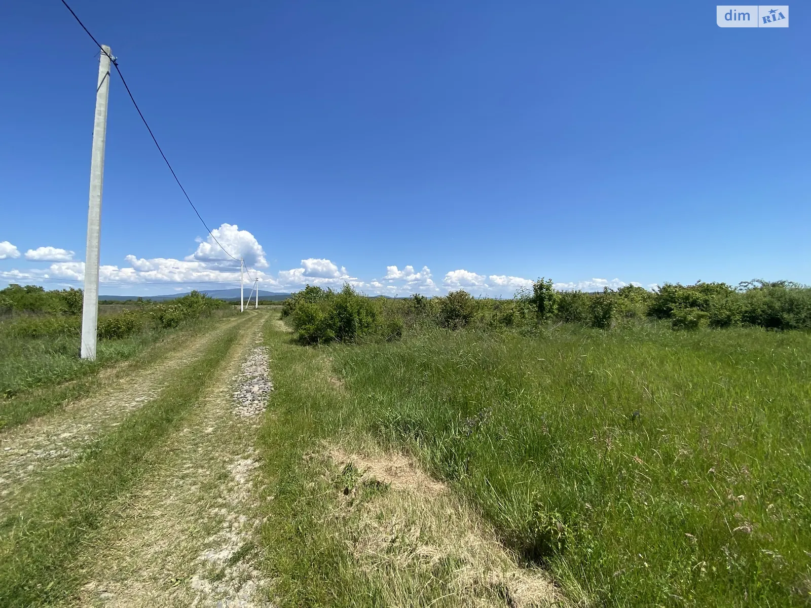 Продается земельный участок 25 соток в Закарпатской области, цена: 11000 $ - фото 1