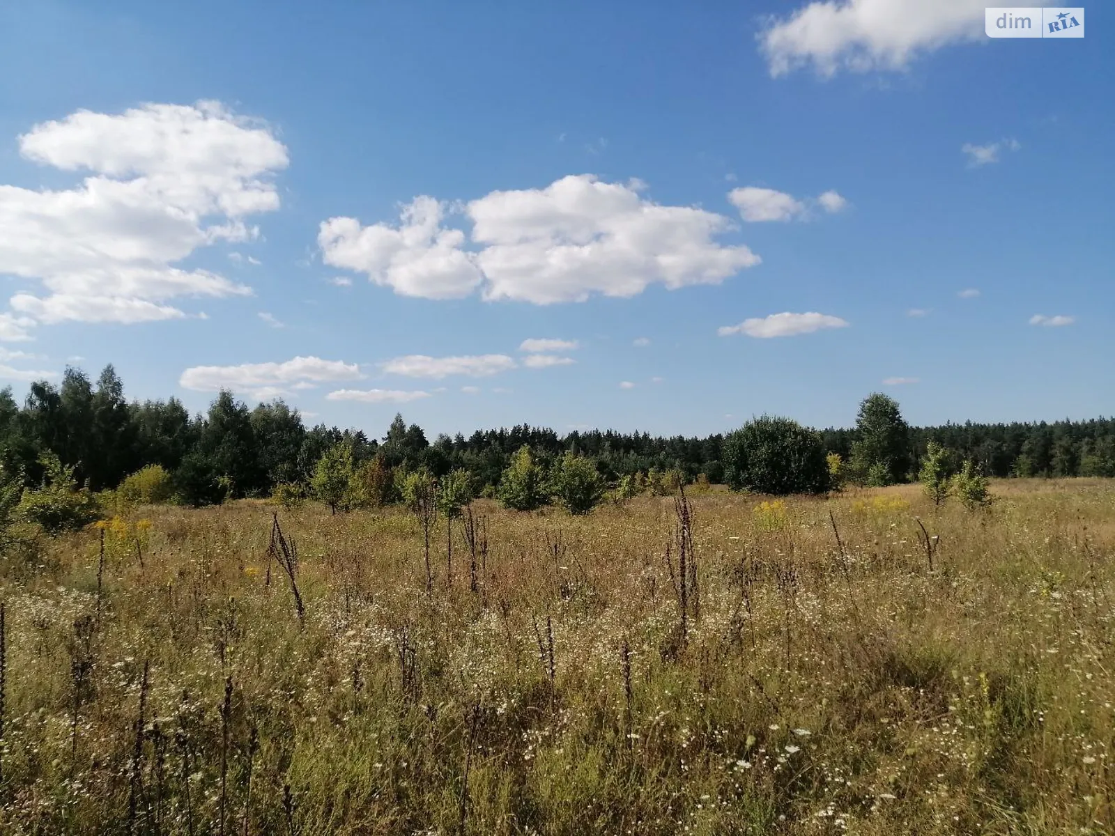 Продается земельный участок 12 соток в Киевской области, цена: 16190 $