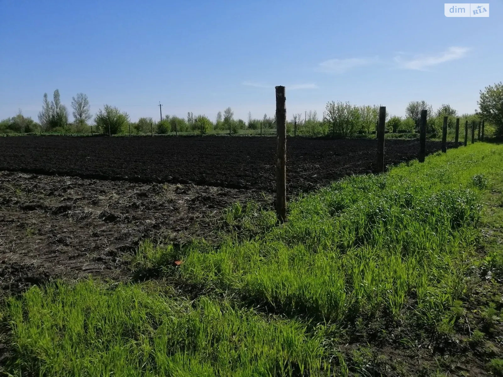 Продается земельный участок 11.6 соток в Киевской области - фото 3