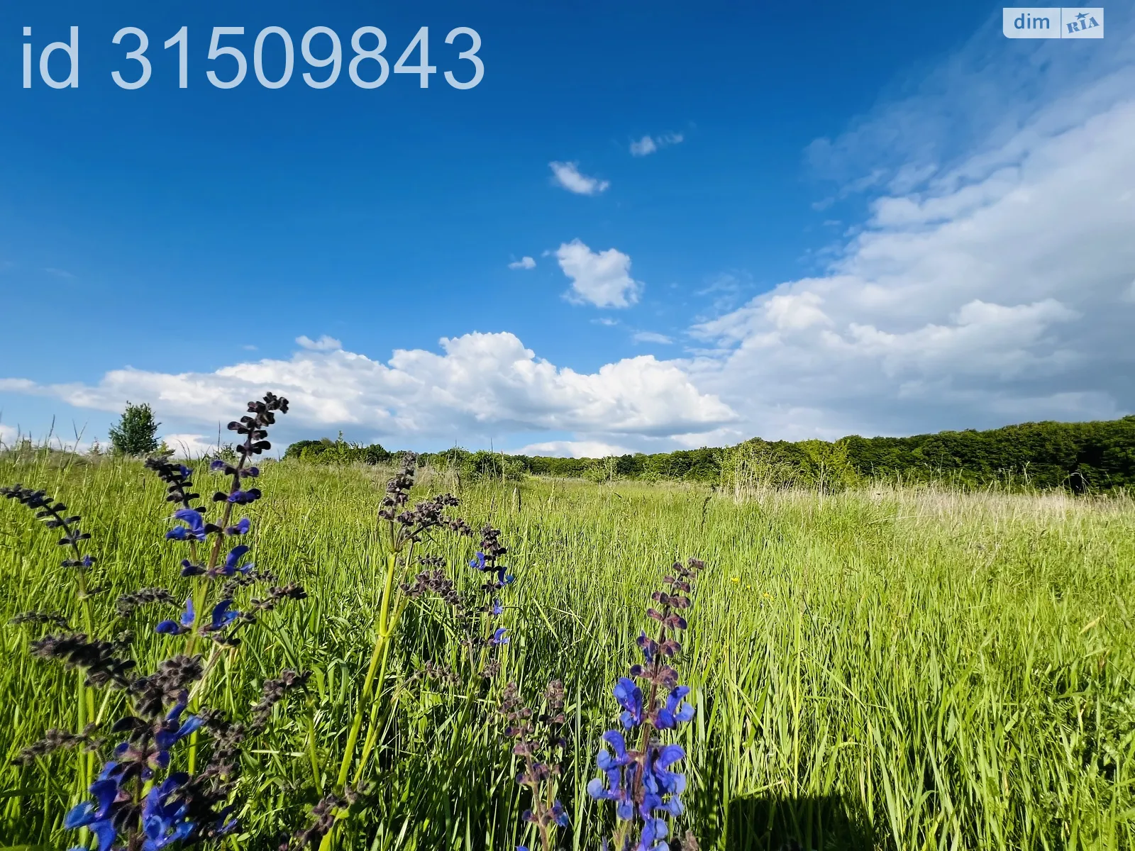 Продается земельный участок 48 соток в Винницкой области, цена: 45000 $