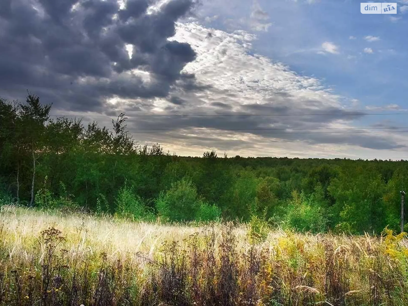 Продается земельный участок 50 соток в Закарпатской области, цена: 63000 $