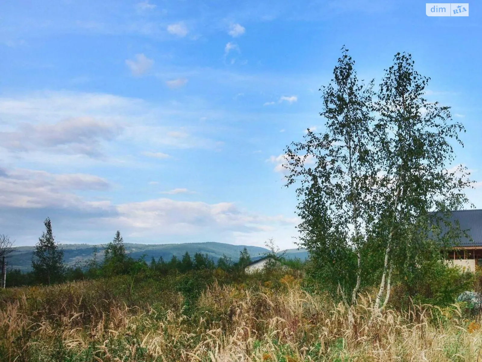 Продається земельна ділянка 50 соток у Закарпатській області - фото 3